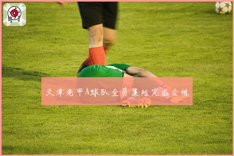 天津老甲A球队全员集结完成合练