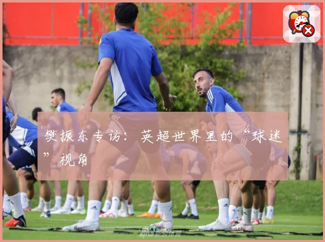 樊振东专访:英超世界里的“球迷”视角