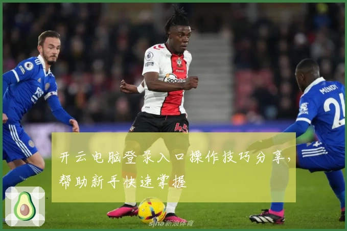 开云电脑登录入口操作技巧分享，帮助新手快速掌握