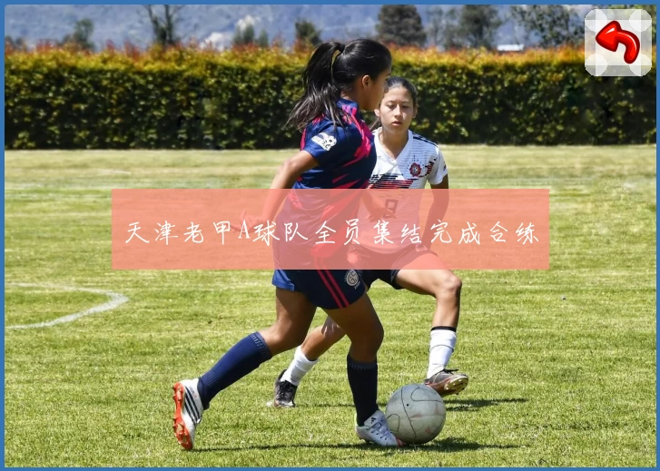 天津老甲A球队全员集结完成合练